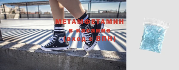 прущие грибы Вязники