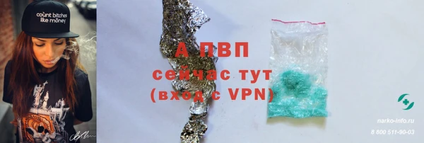 прущие грибы Вязники