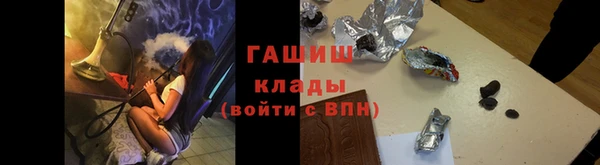 прущие грибы Вязники