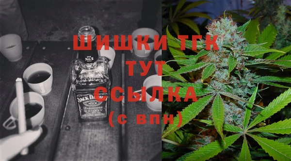 прущие грибы Вязники