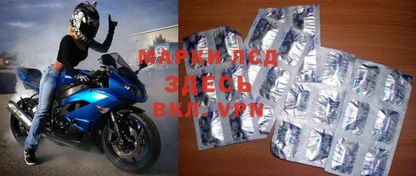 прущие грибы Вязники