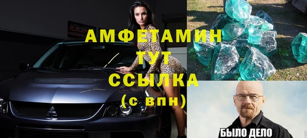 прущие грибы Вязники