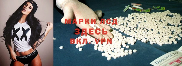 прущие грибы Вязники
