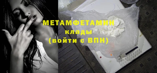 прущие грибы Вязники