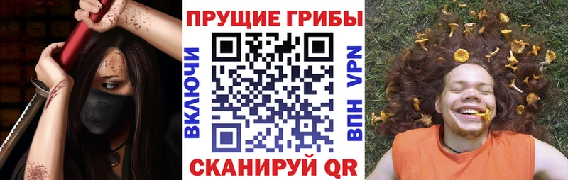 Купить где  Лесной  Галлюциногенные грибы GOLDEN TEACHER 