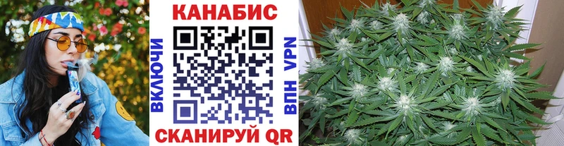 Купить где  Лесной  Шишки марихуана VHQ 